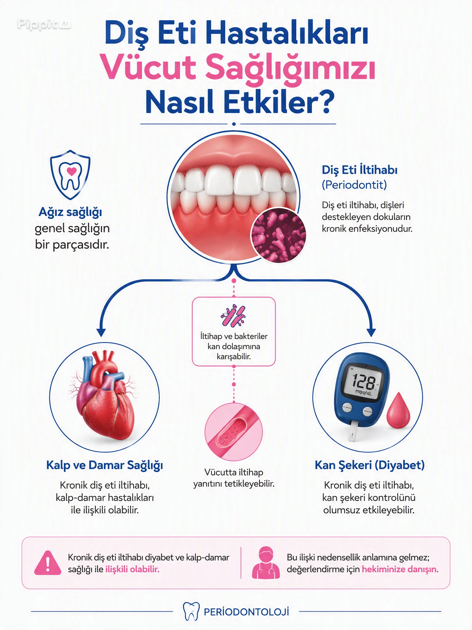 Diş Eti Hastalıkları Vücut Sağlığımızı Nasıl Etkiler? (Kalp ve Şeker Hastalığı İlişkisi)